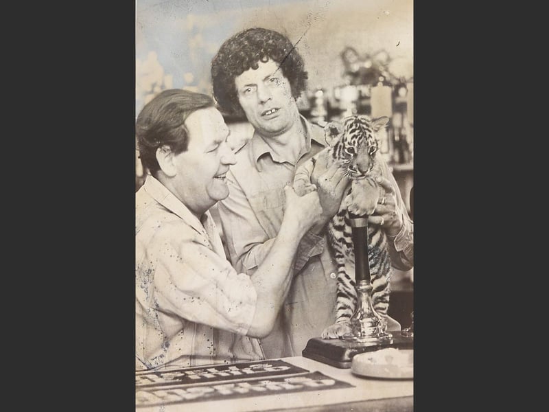 Landlord Bert Price (left) shares a laugh behind the bar with local "lion man" Lewis Foley and his three-month-old Bengal tiger cub, "Winston Churchill," in Cradley Heath in June 1976. The lighthearted reunion followed a startling moment the previous day when the 13lb cub leapt onto Mr Price while he was pulling pints at the High Street pub, prompting the shaken publican to take an hour's rest before graciously deciding there would be no bar ban on Winston while he remained pint-sized. Did you ever bump into Lewis Foley and his exotic companions around Cradley Heath, or enjoy a drink at the Heath Tavern back in the summer of 1976?