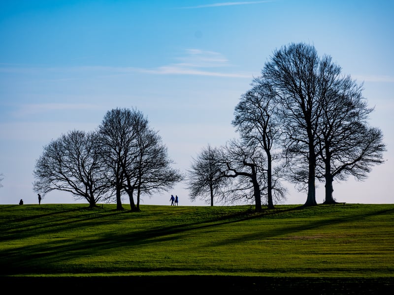 Parkland suburb; family-focused; premium living.