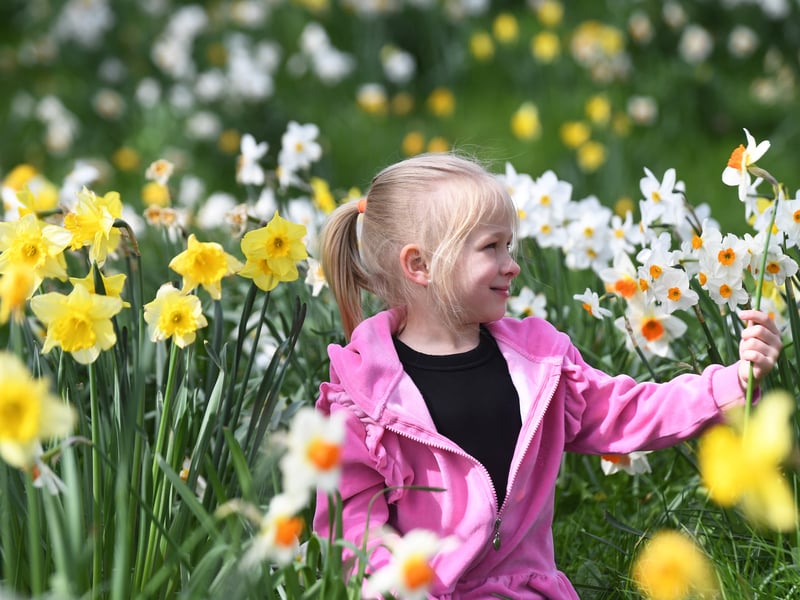 The star attraction of Temple Newsam is of course the Temple Newsam Estate which is stacked with summer holiday events. After checking out the Tudor-Jacobean house, why not head to Go Ape for an adrenaline rush?