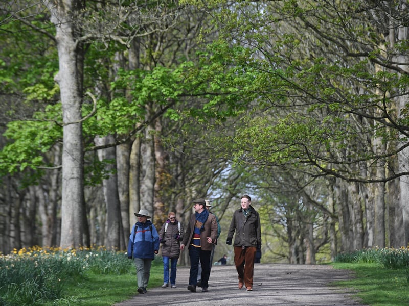 The 'Find Your Happy!' event brings a packed week of feel-good fun, house trails, and hands-on creative crafts to the estate. Families can also head down to Home Farm to meet the newest springtime animal babies and burn off steam in the Play Barn 👪 Temple Newsam Road Leeds LS15 0AE
