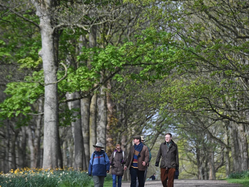 Ahead of Sunday's picnic, Temple Newsam will be kicking off the weekend early on Saturday with a dedicated Family Fun Day. The day will feature a wide range of outdoor activities and entertainment perfect for keeping kids of all ages busy. 👨 Temple Newsam Rd, Leeds LS15 0AE