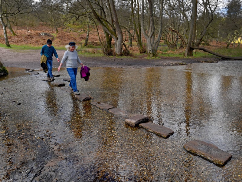 Near the scenic Cannock Chase, it is considered a family-friendly town and many flock to Cannock Chase for lovely days out - no matter the weather. 