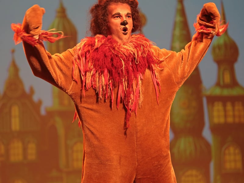Caption: Aonghus O'Muirí as The Lion
