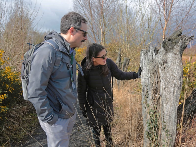 Caption: International delegates from the ICMA delegation pictured on the walkway through the rewetted bog at Corlea Trackway Visitor Centre in County Longford Picture: Shelley Corcoran