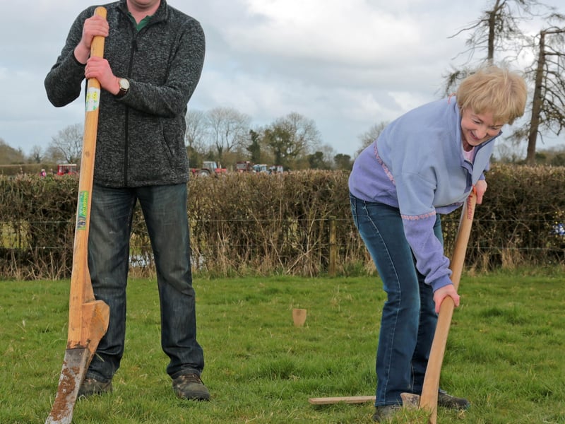 Caption: Demonstrating the art of Loy Digging at the 90th Co Longford Ploughing were William Johnson and Pauline Lavin