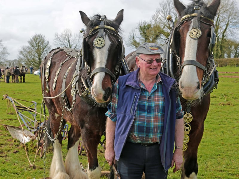 Caption: Traditional horse ploughing was one of the highlights of the 90th Co Longford Ploughing Championships and Colman Cogan is pictured with Ned and Ted