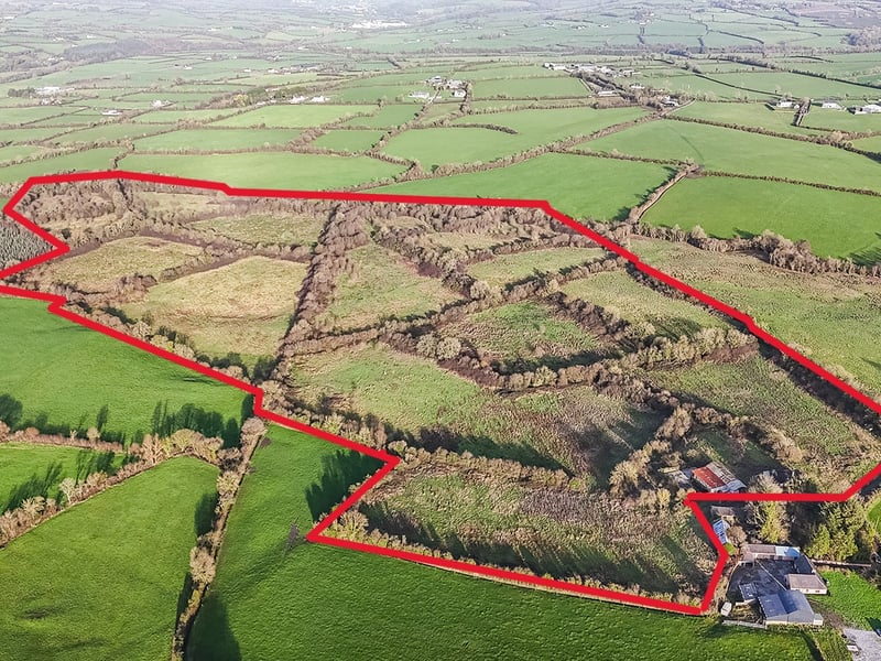 A large track of land which extended to 23.33 hectares along with a bungalow and some outbuildings located at Muckalee in County Kilkenny recently generated significant interest at auction. It was successfully sold last Friday under the hammer of Ed Donohoe, Donohoe Town and Country, who reported that there was 'a large demand and four bidders in a packed auction room' in the Clubhouse Hotel. The property comprised of a derelict bungalow with some outbuildings and c. 23.33 hectares of agricultural land which had been neglected and required certain works to bring it back to its former glory. "There was a number of both local and outside people who had expressed interest in the land," Donohoe said. SEE MORE PICS BY TAPPING 'NEXT' ABOVE Four different bidders managed to raise their hands in a lively auction which had a 'very satisfactory result'. READ NEXT: Inside traditional Kilkenny pub with home and two acres now for sale Bidding opened at €500,000 and quickly went up to €850,000 where Mr Donohoe consulted with the vendors. The property was then put on the market with one further bid of €10,000 to finally secure the land holding. READ NEXT: Proud Kilkenny man to star in new series of The Great House Revival on RTE The property was bought by somebody who intends to do up the bungalow and move into the farm and carry out essential works to the lands. Donohoe added that he has some disappointed underbidders and would love to talk anybody who may be considering a small parcel of land.