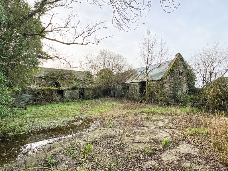 A large track of land which extended to 23.33 hectares along with a bungalow and some outbuildings located at Muckalee in County Kilkenny recently generated significant interest at auction. It was successfully sold last Friday under the hammer of Ed Donohoe, Donohoe Town and Country, who reported that there was 'a large demand and four bidders in a packed auction room' in the Clubhouse Hotel. The property comprised of a derelict bungalow with some outbuildings and c. 23.33 hectares of agricultural land which had been neglected and required certain works to bring it back to its former glory. "There was a number of both local and outside people who had expressed interest in the land," Donohoe said. SEE MORE PICS BY TAPPING 'NEXT' ABOVE Four different bidders managed to raise their hands in a lively auction which had a 'very satisfactory result'. READ NEXT: Inside traditional Kilkenny pub with home and two acres now for sale Bidding opened at €500,000 and quickly went up to €850,000 where Mr Donohoe consulted with the vendors. The property was then put on the market with one further bid of €10,000 to finally secure the land holding. READ NEXT: Proud Kilkenny man to star in new series of The Great House Revival on RTE The property was bought by somebody who intends to do up the bungalow and move into the farm and carry out essential works to the lands. Donohoe added that he has some disappointed underbidders and would love to talk anybody who may be considering a small parcel of land.