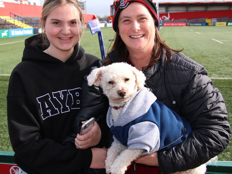 PICTURES: Supporters cheer St Munchin's College to thrilling Munster ...