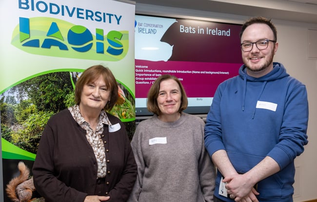 Marian Whyte, Mary Hegarty from Historic Houses of Ireland, and Killian Brennan.