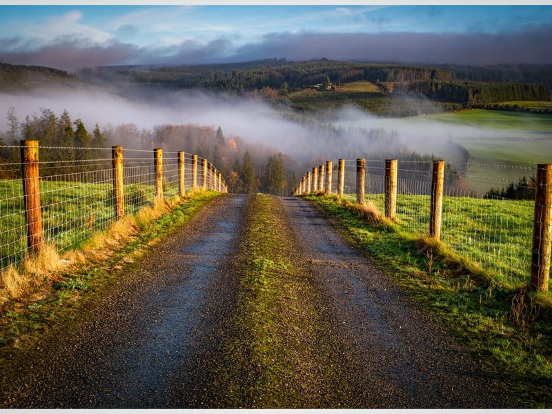 Kieran McEvoy's atmospheric shot of The Wolftrap in the Slieve Bloom mountains was the winning shot in the Photograph of the Year category