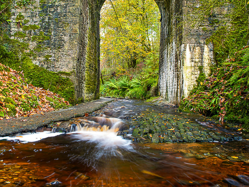 A magnificent photo captured by Kieran McEvoy who won Photographer of the Year at the 2025 awards