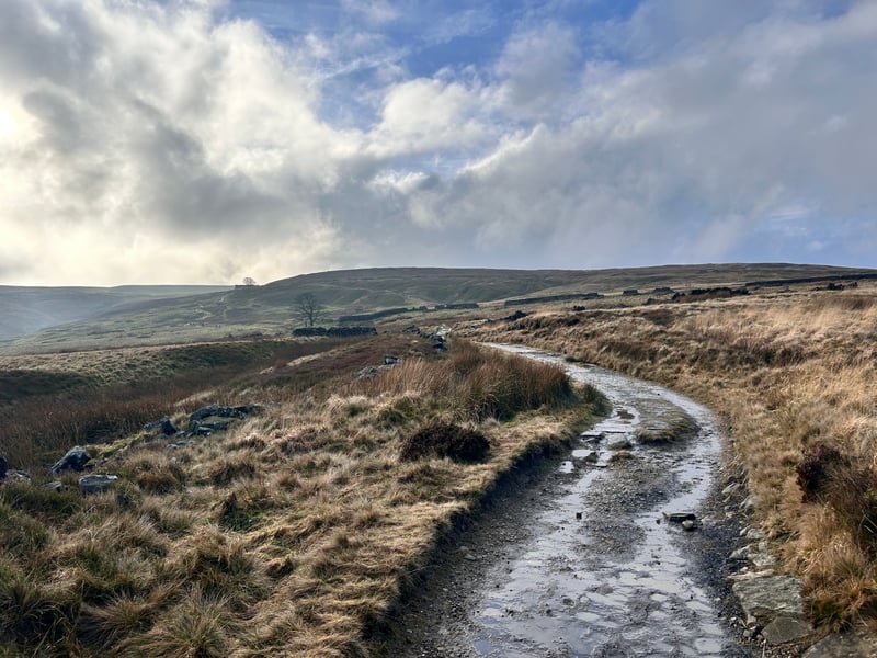 Over in Bradford, Haworth is a beauty spot best-known as the home of the Brontë sisters. The Yorkshire Moors that surround the village can be seen both in Wuthering Heights and Jane Eyre.