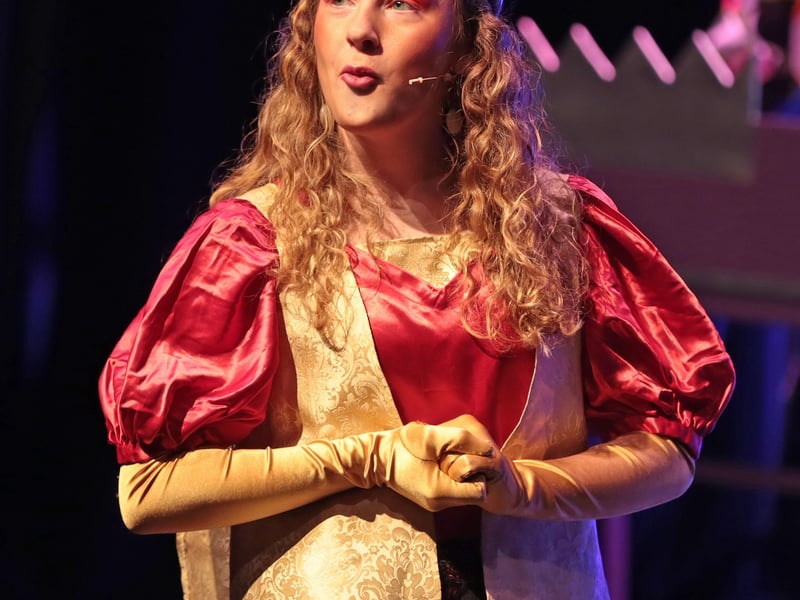 PICTURES | Longford audiences behold royalty in 'The Spare Prince'