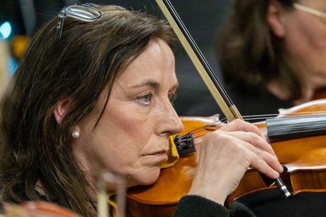 The Laois School of Music Dunamaise Strings.