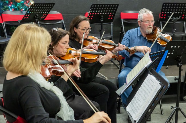The Laois School of Music Dunamaise Strings.