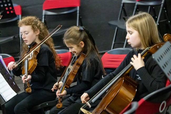 The Laois School of Music Youth Orchestra.