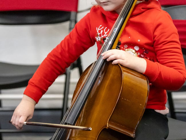 The Laois School of Music Junior Orchestra.