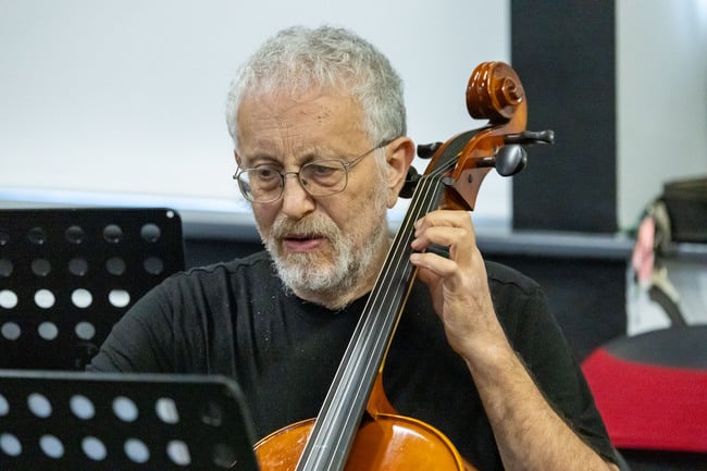 The Laois School of Music Dunamaise Strings.