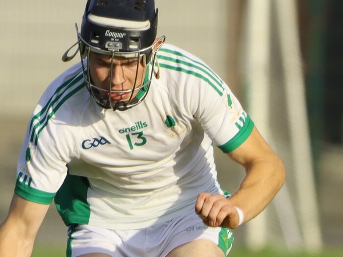 13: Right corner forward – Eoin Burke (Coolderry)Eoin Burke was a major factor in Coolderry going so close to making a semi-final. Very accurate from frees and play, he was given the Tribune man of the match in three of their games and got a few very important goals. Birr's Eoghan Cahill was very close as he once again had some super games, scoring regularly from play and frees and Ballinamere's Brian Duignan was also in the equation for an attacking role.