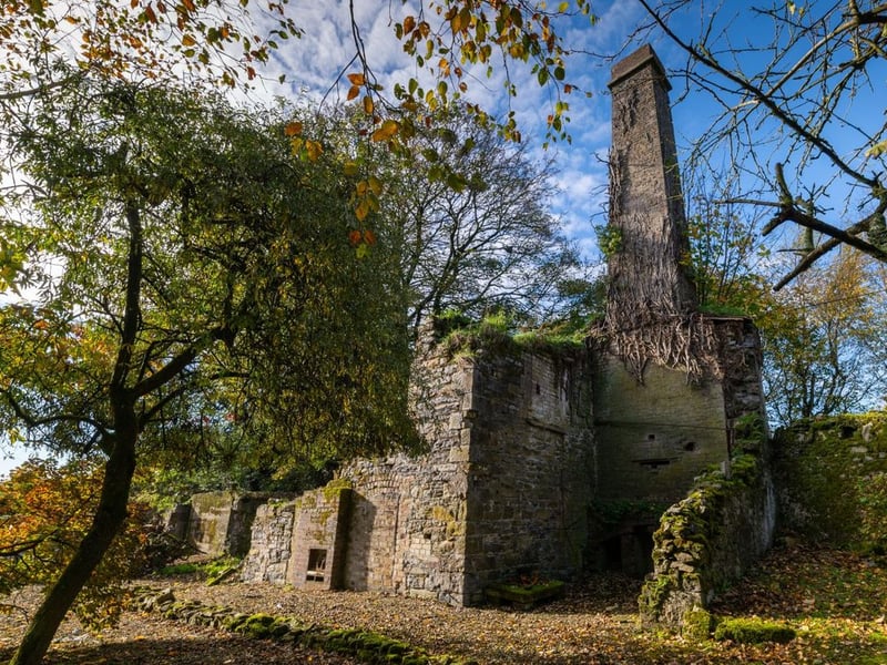 Like something out of The Secret Garden, a stunning period property built near Mountmellick by a historical figure has hit the market for €595,000. Set on 7.7 acres, The 200 year old Mill House promises stunning scenery, a gorgeous apple orchard, wildflower meadows and the ruins of the famous Mountmellick Mill. The Mill House, located in the townland of Drinagh, also known as New Mills, dates back to the early 1800s and carries a remarkable industrial heritage. The earliest records of New Mills appear in 1818, when Joseph Nevitt, noted in Quaker burial archives, resided here and later entered into partnership with John Millner. Together they established a thriving woollen manufacturing business, later expanding into a corn and saw mill. By the mid-1800s, the Millners’ enterprise was well known throughout the region, employing many locals and contributing to the area’s economic development. Elements of the original mill structures still remain on the property today, a lasting testament to the craftsmanship and industrious spirit of that era. Set on approximately 7.7 acres, The Mill House extends to c.214 m² and is surrounded by lavish, mature gardens, an orchard, wild meadow, and beautiful old trees, creating a sense of peace and privacy rarely found. The land is divided into four well-fenced paddocks, making it perfect for livestock or equestrian use thanks to its excellent security and layout. There is also a floodlit arena ideal for night-time riding out, offering superb convenience for horse owners. The current owners have lovingly preserved many of the original features, including stonework, arched brick detailing, and solid timber beams, showcasing the charm and authenticity of this extraordinary home. The accommodation consists of an entrance hall, kitchen cum dining room, living room, sitting room, home office, boot room, laundry, five bedrooms, main bathroom, and guest bathroom. Every room is filled with character, from exposed stone walls to original craftsmanship that reflects the history