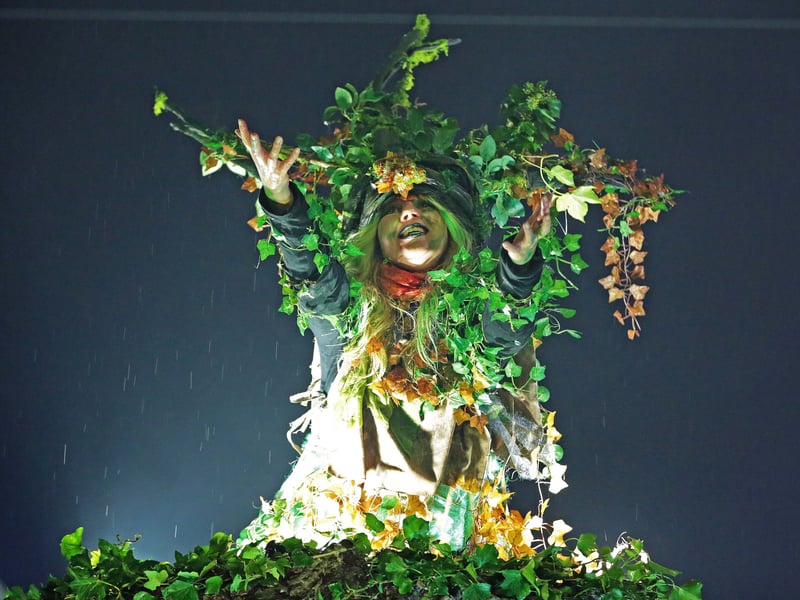 Caption: Deirdre Orme was one of the many stars of the Fire and Shadows Procession Picture: Shelley Corcoran