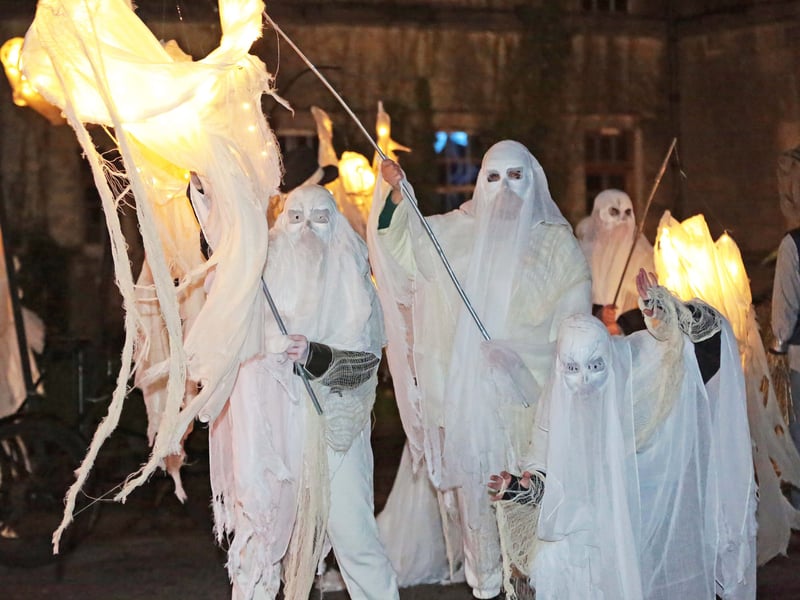 Caption: The theme for Longford's Fire and Shadows Procession was 'Morrígan’s Revenge' and it featured music, drumming, dance, fire, dramatic performance as well as plenty of mischief and mayhem Picture: Shelley Corcoran