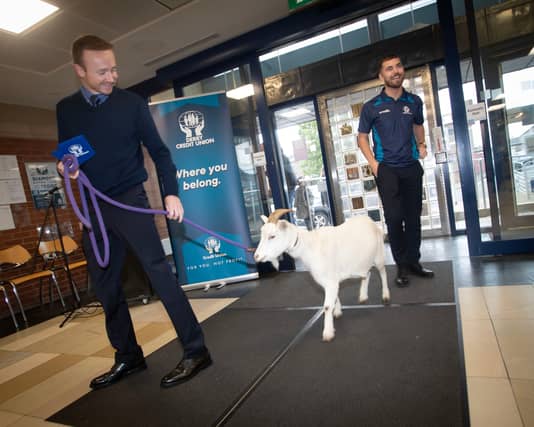 INTERNATIONAL CREDIT UNION DAY. . . . 'Sadie' The Goat shows anyone can save at Derry Credit Union, as they celebrate International Credit Union Day on Saturday last. Included in photo are Derry Credit Union staff members Ciaran McCormick and John Sheerin. (Photos: Jim McCafferty Photography) We want your photos to feature on the website via our Camera Club. Do you have a great photo from life in the locality? Whether it’s a party, wedding, communion, landscape, a quirky shot from your archives, or a simple everyday moment, we want your snapshots. We are inviting people to share photos that capture the spirit of the county. From special occasions to quieter moments, your pictures help tell the story of everyday life in our community. To submit: Go to the Camera Club page and follow the instructions to upload your photo. Include your name, where it was taken, and a short caption if you can. Your photo could be featured on our website and newspaper and seen by readers across the county and beyond. TAP HERE TO SUBMIT YOUR PICTURES TODAY