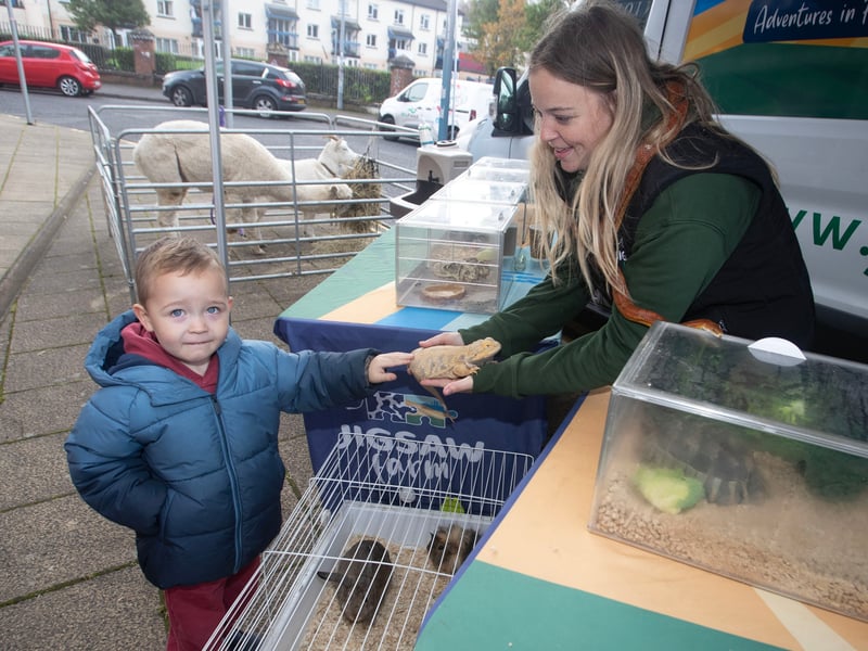 Three years-old Jack McKinney petting a 'Bearded Dragon' at Saturday's International Credit Union Day.