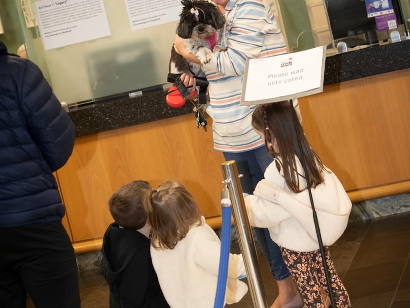 A very popular pet is the centre of attention during Saturday's Derry Credit Union celebrations.