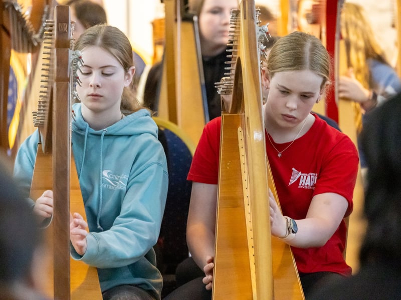 Young Laois harpers and pipers flocked to Castletown this week for Tionól Harp and Pipes, presented by Music Generation Laois. Young harpers and pipers from across Ireland took part in the the day festival, which included workshops and performance opportunities. Acclaimed harpers Michael Rooney from Monaghan and Catriona McKay from Scotland were among the team of professional musicians working with 74 young people. Participants hailed from Music Generation programmes in Louth, Mayo, Cavan, Monaghan and Waterford, as well as from Music Generation Laois.  "We are thrilled to celebrate ten years of Tionól,"  Ms Rosa Flannery, Music Development Officer with Music Generation Laois told the Leinster Express / Laois Live. "Young harpers and pipers from all over Ireland are taking part in an immersive music experience that develops their musical skills and forges life-long friendships. "Music Generation Laois has a special focus on harping and piping, the harp and uilleann pipes are two instruments of cultural significance to Ireland that need to be preserved, supported and developed," Ms Flannery said. Tionól Harp and Pipes 2026 will take place from 26-28 October in Castletown.  The event is supported by the Music Generation / Arts Council of Ireland Partnership Creativity and Collaboration Fund. Music Generation Laois is part of Music Generation, Ireland's national performance music education programme, co-funded by U2, the Ireland Funds and the Department of Education and Youth. Locally, Music Generation Laois is part of Laois and Offaly Education and Training Board and supported by Laois County Council.  To find out more about joining Music Generation Laois’ harp or uilleann pipes programmes see musicgenerationlaois.ie  WATCH: Sod turned on €6.5m extension to ESB training centre in Portlaoise