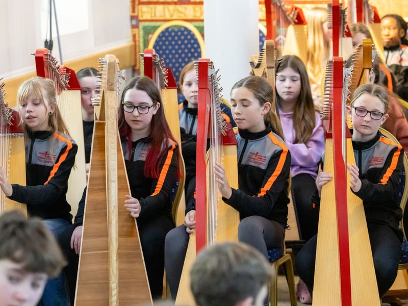 Young Laois harpers and pipers flocked to Castletown this week for Tionól Harp and Pipes, presented by Music Generation Laois. Young harpers and pipers from across Ireland took part in the the day festival, which included workshops and performance opportunities. Acclaimed harpers Michael Rooney from Monaghan and Catriona McKay from Scotland were among the team of professional musicians working with 74 young people. Participants hailed from Music Generation programmes in Louth, Mayo, Cavan, Monaghan and Waterford, as well as from Music Generation Laois.  "We are thrilled to celebrate ten years of Tionól,"  Ms Rosa Flannery, Music Development Officer with Music Generation Laois told the Leinster Express / Laois Live. "Young harpers and pipers from all over Ireland are taking part in an immersive music experience that develops their musical skills and forges life-long friendships. "Music Generation Laois has a special focus on harping and piping, the harp and uilleann pipes are two instruments of cultural significance to Ireland that need to be preserved, supported and developed," Ms Flannery said. Tionól Harp and Pipes 2026 will take place from 26-28 October in Castletown.  The event is supported by the Music Generation / Arts Council of Ireland Partnership Creativity and Collaboration Fund. Music Generation Laois is part of Music Generation, Ireland's national performance music education programme, co-funded by U2, the Ireland Funds and the Department of Education and Youth. Locally, Music Generation Laois is part of Laois and Offaly Education and Training Board and supported by Laois County Council.  To find out more about joining Music Generation Laois’ harp or uilleann pipes programmes see musicgenerationlaois.ie  WATCH: Sod turned on €6.5m extension to ESB training centre in Portlaoise