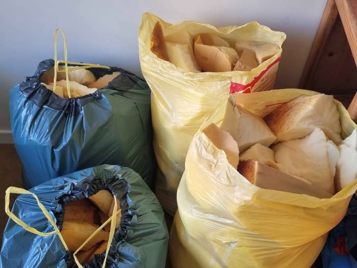 Free of charge is four bags of chopped up foam that was used for a soft chair. Could be useful as stuffing for a craft project, the seller says.