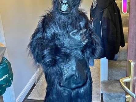 Halloween is right around the corner. If you want to dress up as a gorilla the Facebook market place has just the right thing for you. The costume is selling for 55 euro.