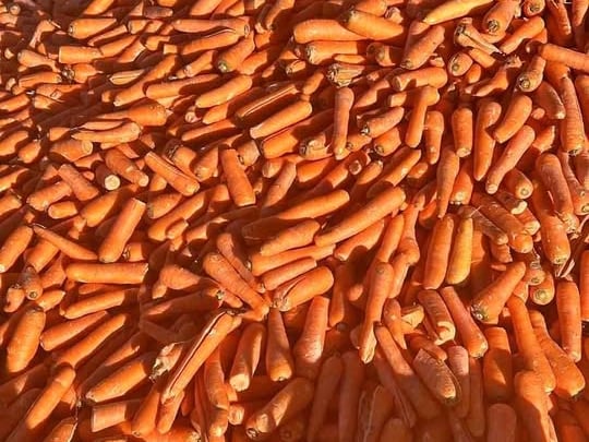 Next up is a whole load of carrots- 25kg to be exact. For only 8 euro those who have horses (or those who just really like a good bulk bargain) are in luck! 