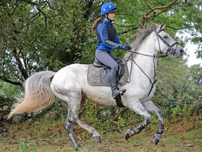 PICTURES | Lots of fun at Longford Pony Club End of Summer Festival in ...