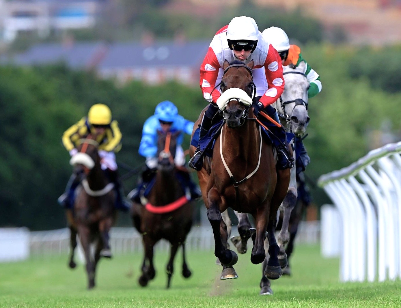 Newton Abbot Racecourse: preview and tips for Saturday’s six-race ...