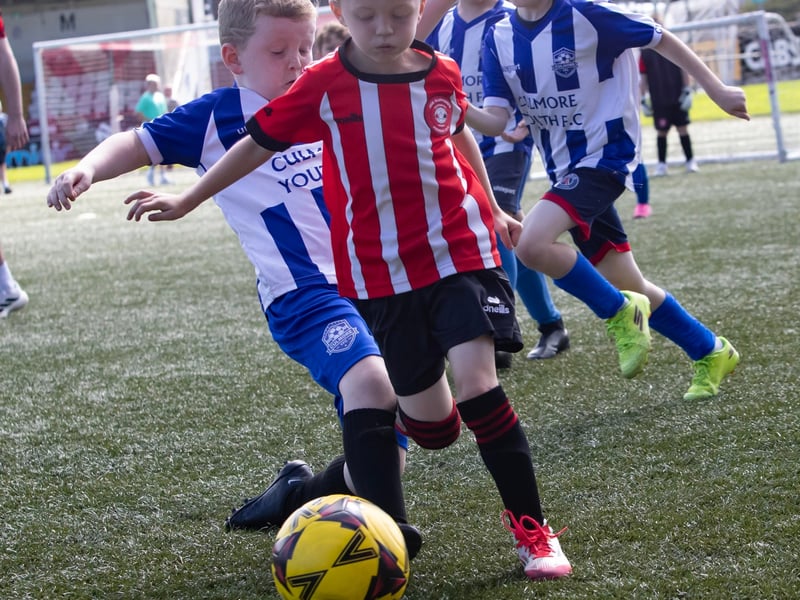 Action from the Ryan McBride Cup at Brandywell.