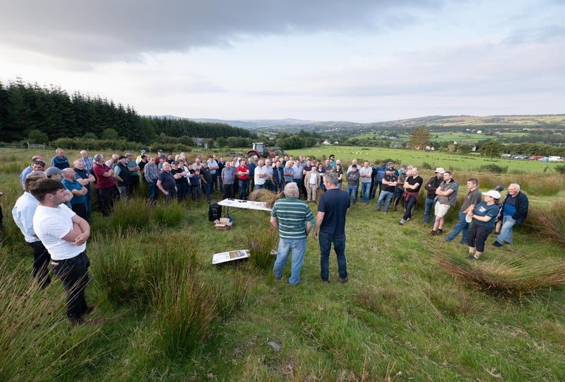 In pictures: Informative day at Teagasc rush and weed control event in ...