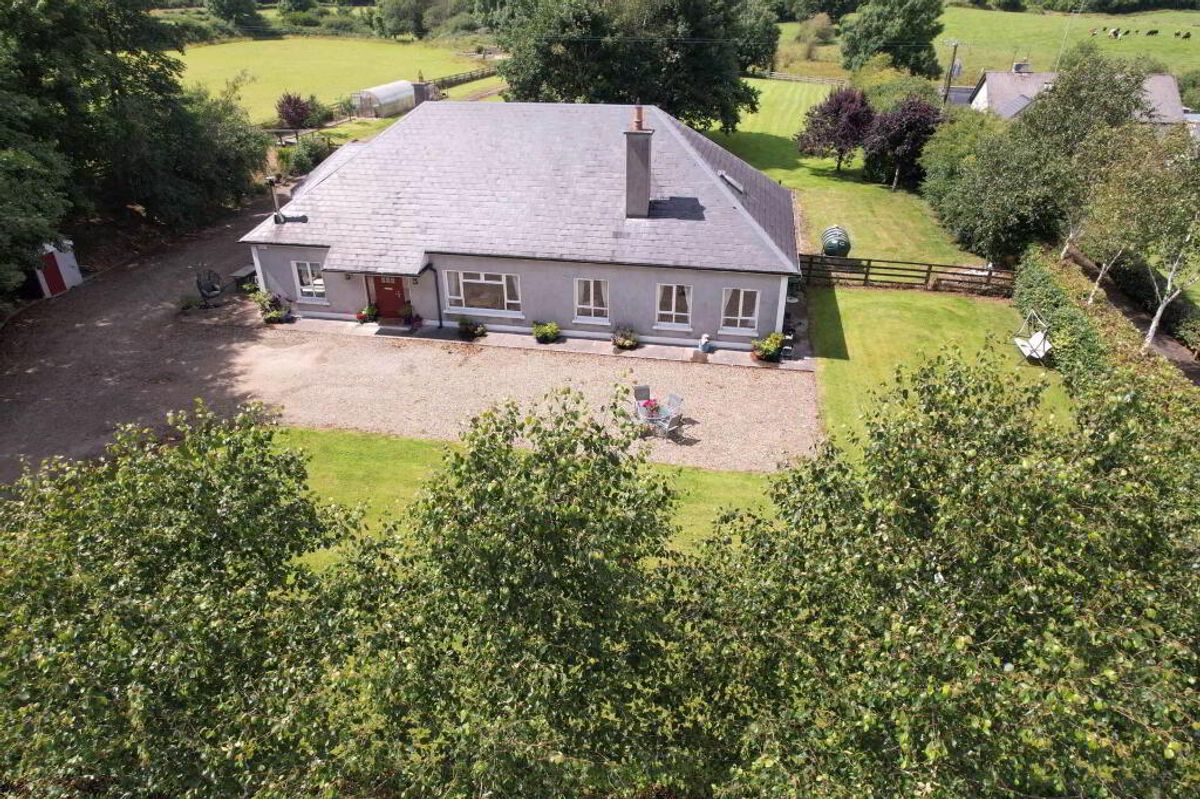 PICTURES: Six bed Laois home on five acres for under €500,000