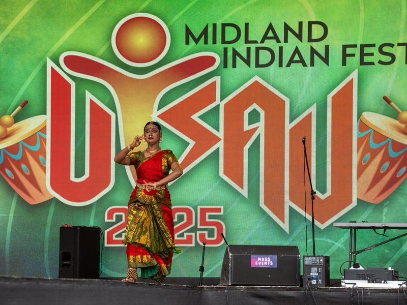 PICTURES: Laois celebrates Midland Indian Festival in Portlaoise