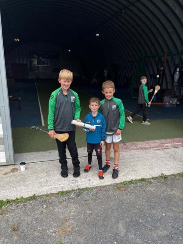 IN PICTURES: Portlaoise GAA hosts fourth annual Walk For The Town