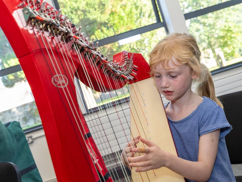 Locals flocked to Portlaoise for Music Generation Laois and the Laois School of Music's annual open evening.