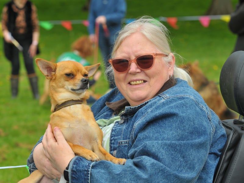 Paula Firth of Armley with Timone the Chihuahua.