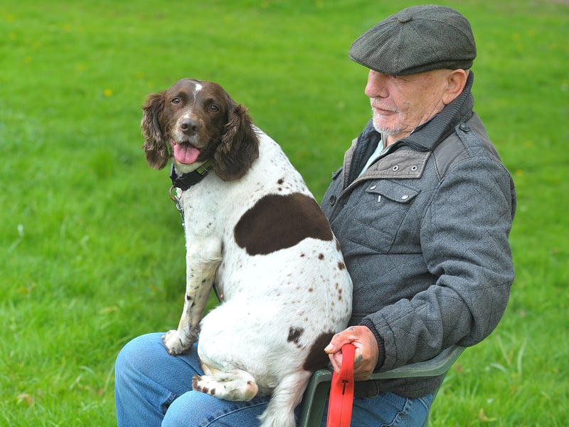 Ronald Purdy with Stella just relaxing in the park.