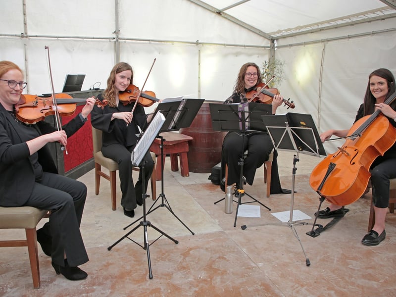 Caption: Simply Strings String Trio Recital
