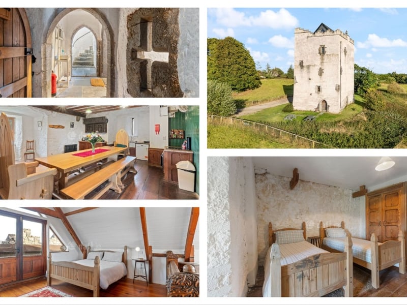Killahara Castle, Dovea, Thurles, County Tipperary - €950,000 Superbly renovated Historic Irish Castle for sale, dating from the 1570s, and presented on circa 7 acres of land with Elizabethan gardens and fenced paddocks. Located in a beautiful pastoral setting, with panoramic views of rolling landscapes and the Silvermine Mountains in the distance, Killahara Castle is bound to create a stir on the Open Market. Private, Tranquil, Historic, sure to beguile and delight.