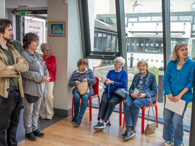 PICTURES: Laois art collection celebrating creative aging on display in ...