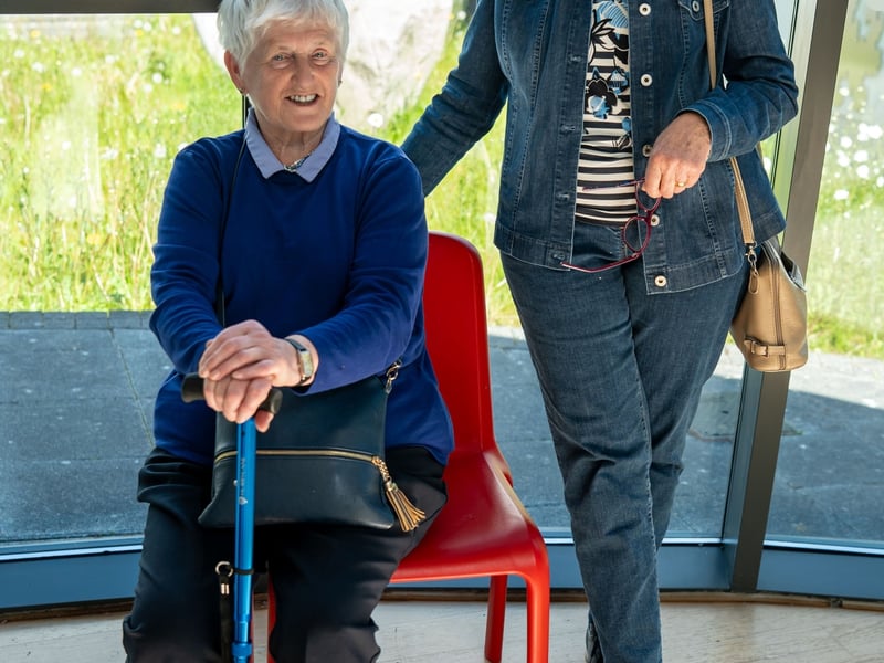 PICTURES: Laois art collection celebrating creative aging on display in ...