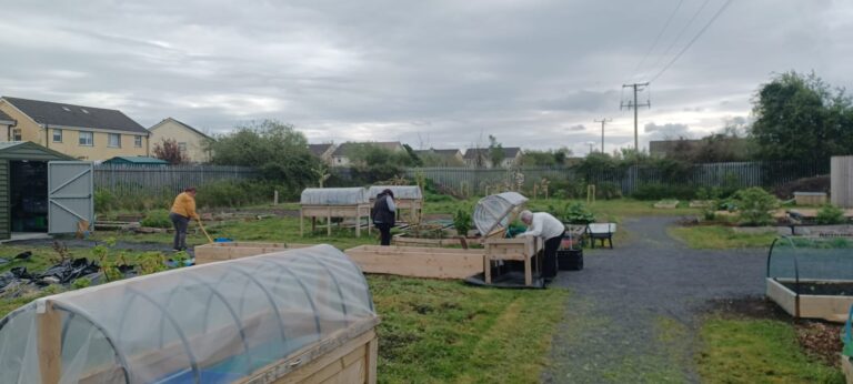 Laois Partnership Company recently held Portlaoise's second Street Feast at the O’Moore Place Allotment. "Organised in conjunction with Neighbourhood Network’s Our Shared Plate project, the Street Feast was an opportunity for people to bring along a dish to share with their local community, featuring workshops and activities for all the family," Laois Partnership Company said. "There was also a tour of the allotment, with tea, scones and snacks to tuck into." Along with delicious food provided by chef Ann Devitt, there was face painting and a variety of fun activities for children. There was also a basket willow weaving demonstration delivered by multi-media artist, Lynn Kirkham; and a presentation on using food waste and food preservation by ecologist Alex Konieczka, who is founder of Understory, an environmental and zero-waste organisation.  The event also featured a community oven consultation with Eilish Langton, who is a former coordinator with Creative Places Athy.   This was Laois Partnership Company's second Street Feast- here's to many more!
